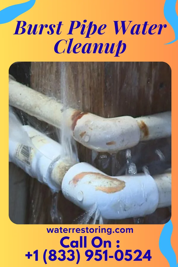 Burst Pipe Water Cleanup in Daviston, SC