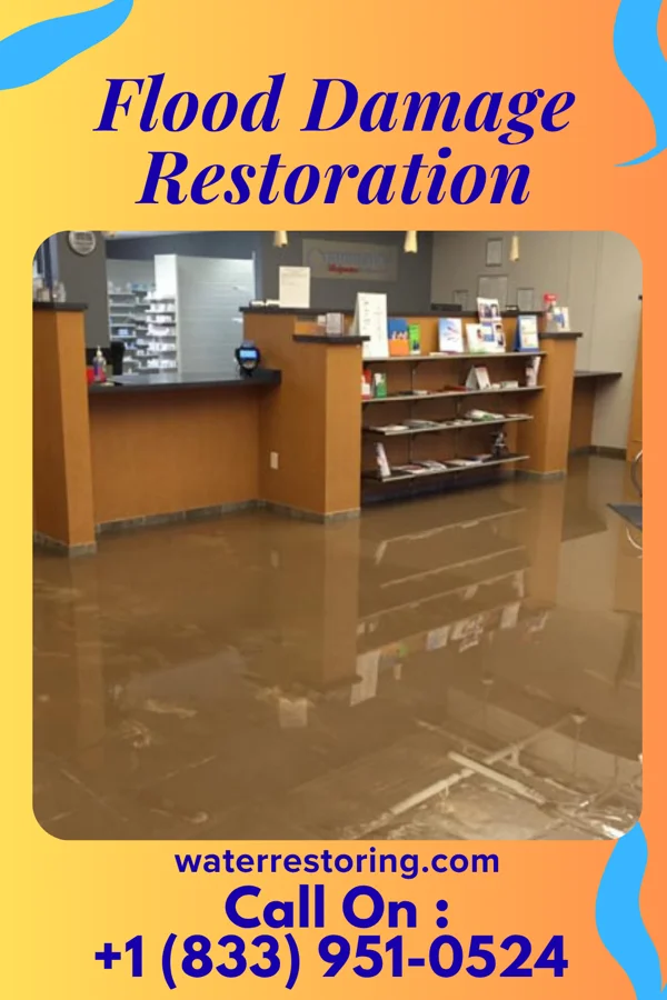 Flood Damage Restoration in Daviston, SC