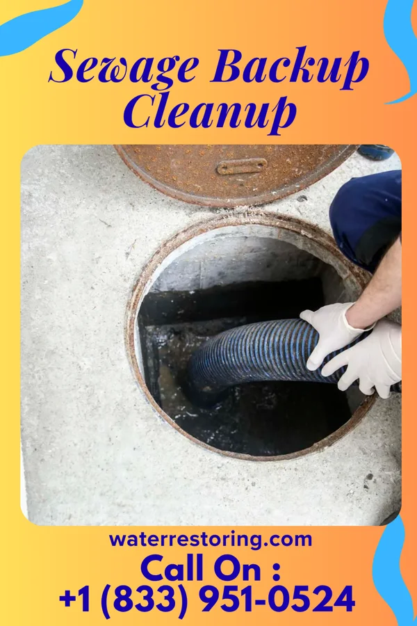 Sewage Backup Cleanup in Daviston, SC