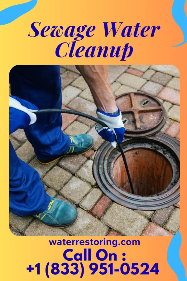 Sewage Water Cleanup in Daviston, SC