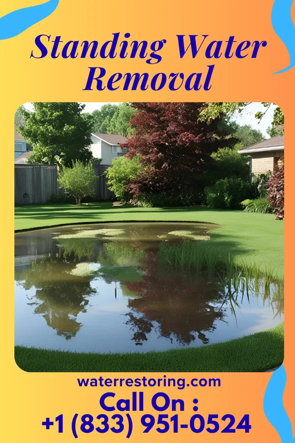 Standing Water Removal in Daviston, SC